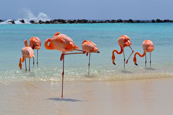 Aruba Vacation | Renaissance Aruba Resort & Casino