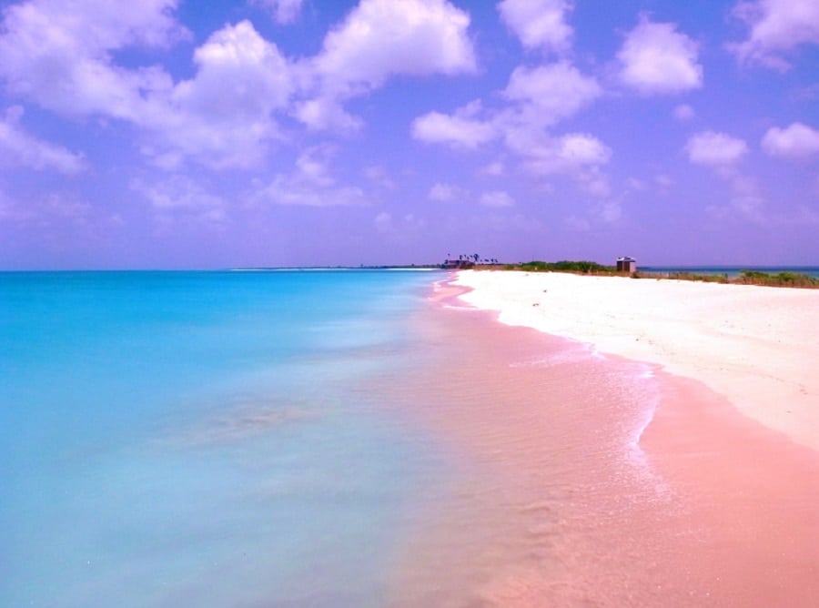 Pink Sand Beaches