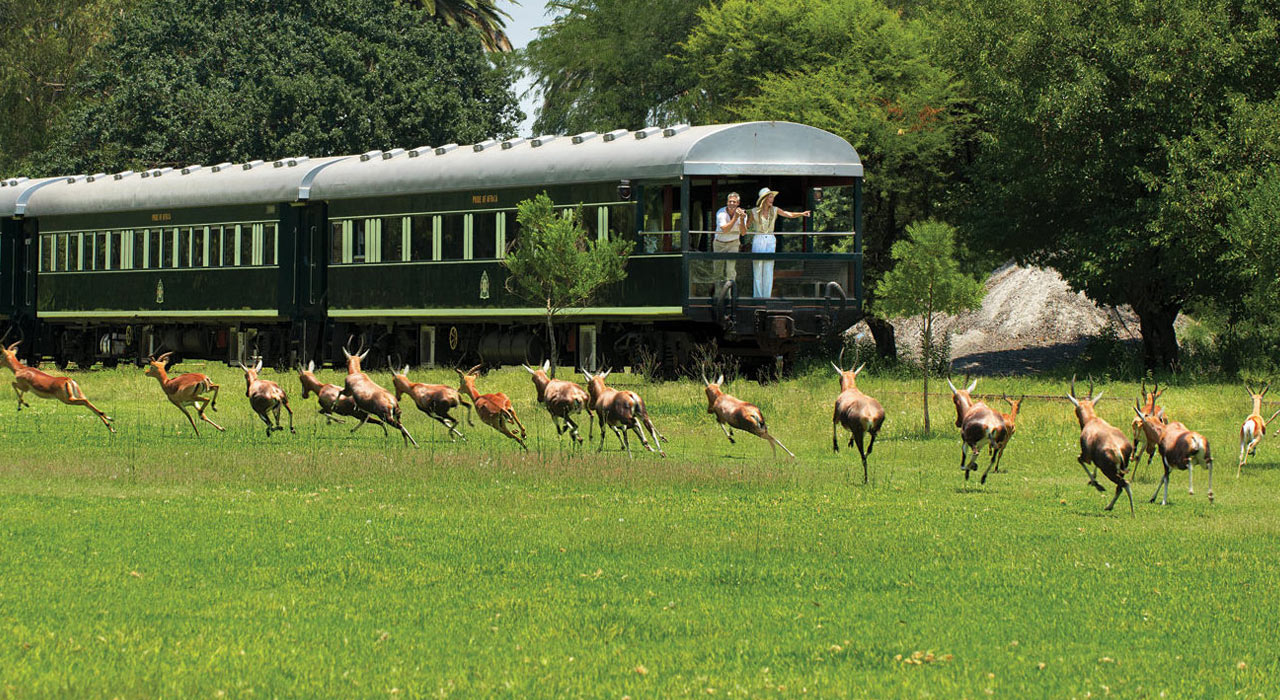 African Adventure River Cruise Safari